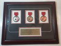 2014 Softball Canada Senior and Master Men's Canadian Fast Pitch Championship Charlottetown PEI Gold Silver Bronze Medals Framed