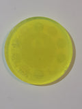 Pool Billiards Snooker 8 Ball Yellow Plastic Caps Pog Slammer