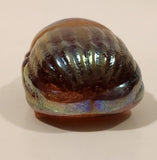 Robert Held Egyptian Scarab Beetle Iridescent Art Glass Paperweight Not Signed