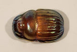 Robert Held Egyptian Scarab Beetle Iridescent Art Glass Paperweight Not Signed