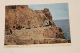 Vintage Carriage Leaving Maseline Harbour Sark Channel Islands Postcard