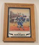 Rare Vintage 1980s SportsArt Stamford Art NHL Quebec Nordiques Wood Framed Mirror