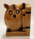 Vintage Glazed Ceramic Owl Book End With Googly Eyes Made in Japan