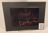 Vintage Foto Carsten Vancouver B.C. Queen Elizabeth Park Conservatory 4 3/4" x 6 1/2" Photograph