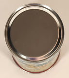 1990 Judith Ann Griffith Sunrise Publications 10 Thinks We Can Do To Save Our Planet 5" Tall Tin Metal Coin Bank