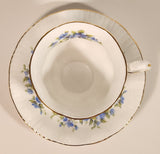 Vintage Paragon English Flowers Aubretia Blue Flowers Tea Cup & Saucer Set