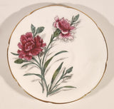 Vintage Paragon Pink Carnation Flowers Tea Cup & Saucer Set