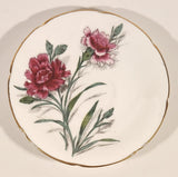 Vintage Paragon Pink Carnation Flowers Tea Cup & Saucer Set