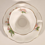 Vintage Royal Albert Bone China England Evesham Pink Flowers Tea Cup & Saucer Set