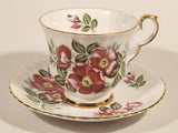 Vintage Royal Windsor Bone China Floral Emblem of Alberta The Wild Rose Red Roses Flowers Tea Cup & Saucer Set