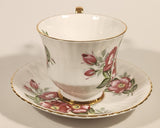 Vintage Royal Windsor Bone China Floral Emblem of Alberta The Wild Rose Red Roses Flowers Tea Cup & Saucer Set