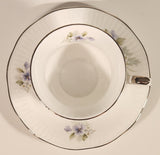 Vintage Rosina China Co Ltd. Queen's Fine Bone China Silver Wedding Tea Cup & Saucer Set