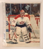 Norman James ProStat Sports Posters NHL Montreal Canadiens #33 Patrick Roy 8" x 10" Poster