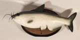 Gemmy Cool Catfish Animatronic Motion Activated Talking Singing Moving Fish On Animated Plaque Partially Working