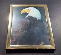 Bald Eagle 8" x 10" Bird Print in Gold Tone Plastic Frame - Treasure Valley Antiques & Collectibles