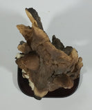 Meerchi MRH Wolf Wolves Pups Resin Sculpture on a Wooden Base - 10 1/4" Tall - Treasure Valley Antiques & Collectibles