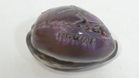 Hand Carved Hawaii Hawaiian Sea Shell with Surfer Themed Design Souvenir Travel Collectible