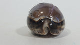 Hand Carved Hawaii Hawaiian Sea Shell with Surfer Themed Design Souvenir Travel Collectible