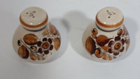 Cat Mexico Cream and Brown Floral Pattern Salt & Pepper (Both Salt) Pottery Shaker Set