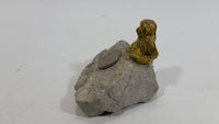 Gibraltar 5 Pence Monkey Macaque Sitting on Rock with Coin Decorative Figure Souvenir Travel Collectibles