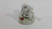 Very Cute and Curious Bunny Rabbit Touching Red Lady Bug Ceramic Figurine Decorative Ornament