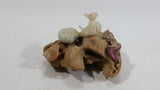 Ucluelet, B.C. Vancouver Island Petrified Wood with Sea Shells and Albino Mouse Ornament Souvenir Travel Collectible