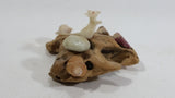 Ucluelet, B.C. Vancouver Island Petrified Wood with Sea Shells and Albino Mouse Ornament Souvenir Travel Collectible