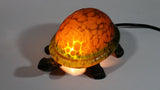 Amber Glass Shelled Bronze Finish Turtle Lamp