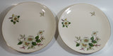 Vintage Johnson Bros Jasmine or North Carolina Piedmont Style White Flowers Gold Rimmed 10" Diameter Dinner Plates Set of 2