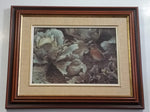 1987 Robert Bateman "SUMMER GARDEN YOUNG ROBIN" Wildlife Bird Nature Print Wood Framed 12" x 15"