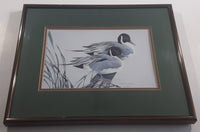 Ducks Unlimited Artist Art Lamay "Pintail Pals" 11" x 13" Framed Wildlife Art Print