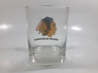 Chicago Blackhawks NHL Ice Hockey Team 4" Tall Clear Glass Cup