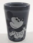 Disney Parks Authentic Original Mickey Mouse "The Mouse is in the House" Grey Glass Shooter Shot Glass