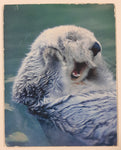 Sea Otter 2 1/2" x 3 1/8" Thin Fridge Magnet