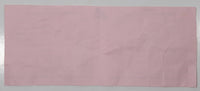 2010 2011 WHL Western Hockey League Starting Line-Up Vancouver Giants Vs Prince George Cougars, Brandon Wheat Kings, and Everett Silvertips Lot of 3 Game Papers Signed by Official Scorer Yellow/Pink