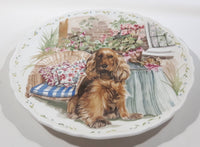 1989 Royal Albert Man's Best Friend Collection Devotion A Cocker Spaniel Appealing For Affection 8 1/4" Bone China Plate Made in England