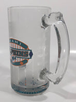 NFL Miami Dolphins Football Team 5 1/2" Tall Frosted Glass Beer Mug Cup