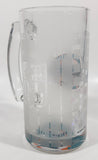 NFL Miami Dolphins Football Team 5 1/2" Tall Frosted Glass Beer Mug Cup