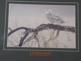 Robert Bateman Fallen Willow - Snowy Owl Wildlife Art Print 14" x 17"