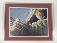 Vintage 1982 Robert Bateman "Young Elf Owl" 8 1/4" x 11 1/4" Art Print in 11 1/4" x 14" Pink Metal Frame No Glass