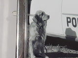 Vintage Hudson Police Car and Dog with American Flag Waving in Background 5" x 7" Black and White Photograph Portrait