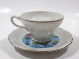 Vintage Washington State Landmarks Mount Rainier Porcelain Tea Cup and Saucer Plate