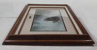 Vintage 1978 Robert Bateman "Majesty On The Wing" Bald Eagle Wood Framed Art Print